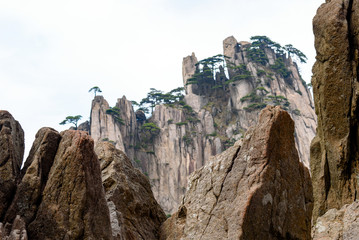 Fototapeta na wymiar Pines and mountains of China