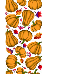 Seamless pattern of different shape and color pumpkin, cartoon style vector illustration isolated on white for autumn decoration