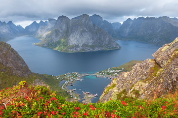 Lofoten Islands, Norway, panorama of the city of Reine  from the top of the Reinebringen mountain in sunny autumn day