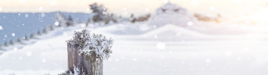 winter wonderland - winter landscape with snowflakes, blue sky background