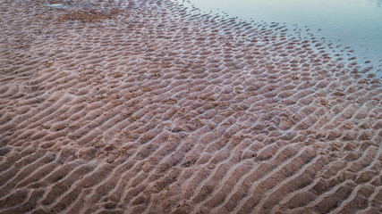 Shoreline Ripples