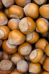 Hazelnuts close-up. Brown, autumn background.
