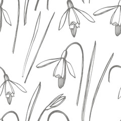 Snowdrop spring flowers. Botanical plant illustration. Vintage medicinal herbs sketch set of ink hand drawn medical herbs and plants sketch. Seamless patterns