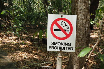 No smoking in the park