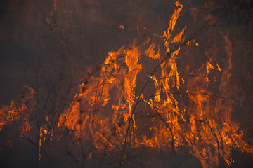 Dry grass burns in a field with smoke and fire.