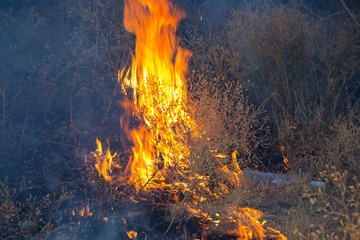 Dry grass burns in a field with smoke and fire.