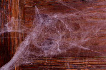 Halloween background with decorative white spider web. Artificial white spider web for the...