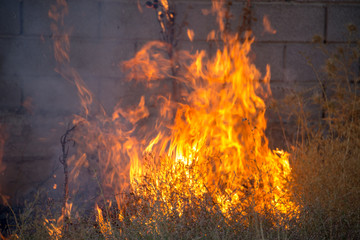 Dry grass burns in a field with smoke and fire.