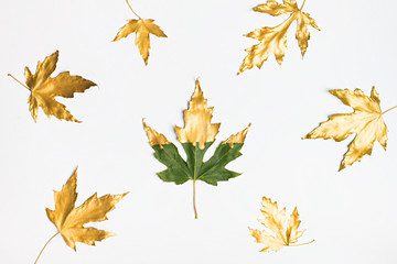 Fall and autumn flat lay with painted golden leaves on white background
