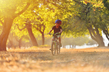 Fototapeta premium Happy kid boy of 7 years having fun in autumn park with a bicycle on beautiful fall day. Active child wearing bike helmet