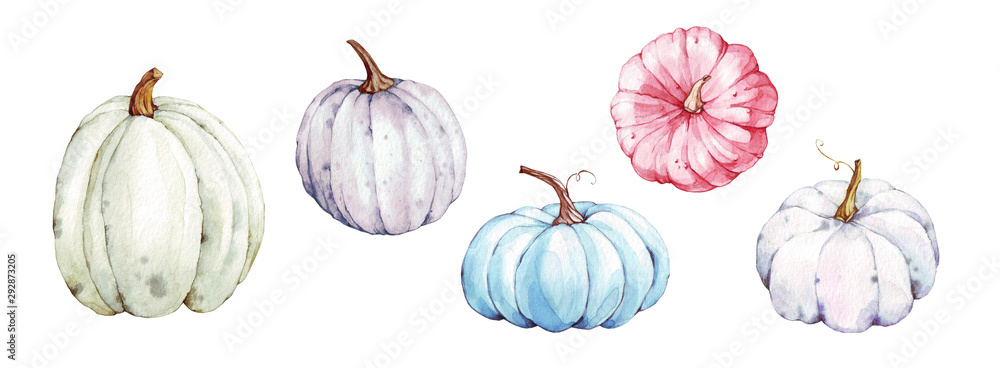 Wall mural Beautiful pumpkins on isolated white background. Autumn set of elements on isolated white background. Watercolor illustration. Hand drawing. It is perfect for thanksgiving cards or posters, halloween 