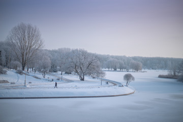 snowy winter forest