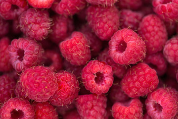 Raspberry Harvest