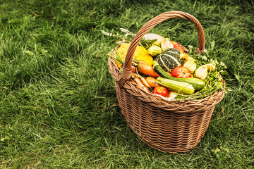 Colorful vegetables in wicker basket outdoor on green grass