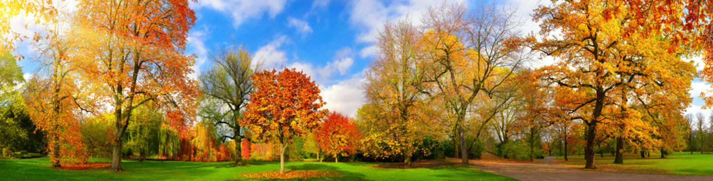 Fototapeta Kolorowa parkowa panorama w jesieni