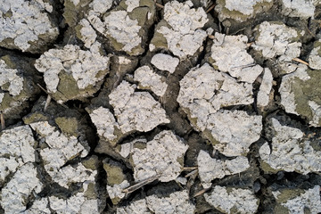 Dry lake bed with natural texture of cracked clay in perspective floor