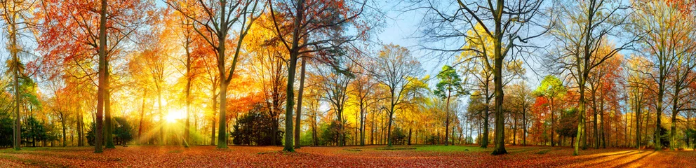 Stof per meter Kleurrijk herfstlandschap in een park © Smileus