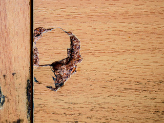 A closeup of the damaged chipboard - material for furniture