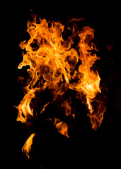 Flame of fire on a black background