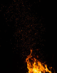 Flame of fire on a black background