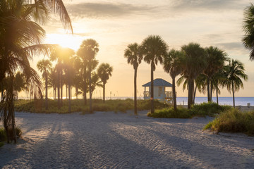 Palm trees on tropical beach at sunrise in Florida Keys.