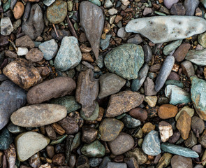 The texture of a shallow river stone. Pebble Background Image