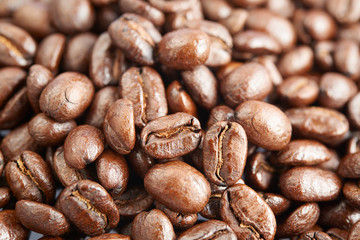 coffee beans on white background