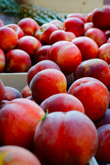 yellow peach sold in market in provence-france