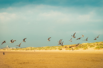Sandy Crosby Beach near Liverpool on a sunny day