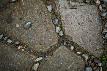 Texture of paving slabs overgrown with grass. Background image of a stratum stone