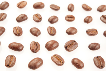 coffee beans on white background