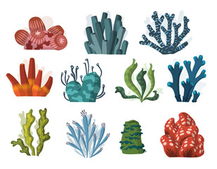 Set of cartoon underwater plants and creatures. Vector isolated corals and algae. © the8monkey