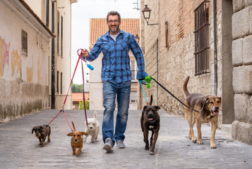 Smiling professional dog walker with dogs on leash on a walk in the city