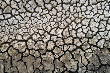 Dry lake bed with natural texture of cracked clay in perspective floor