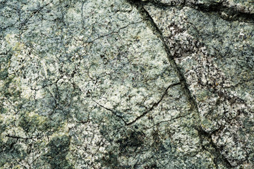 The texture of the stone overgrown with moss. Background image of a boulder