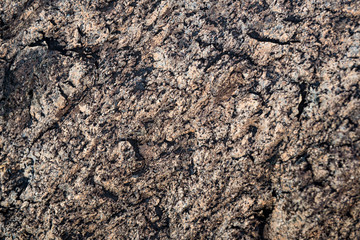 The texture of the stone overgrown with moss. Background image of a boulder