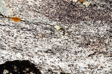 The texture of the stone overgrown with moss. Background image of a boulder