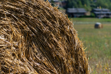 Bales in a harvested land close to Estavar - Pyrenees