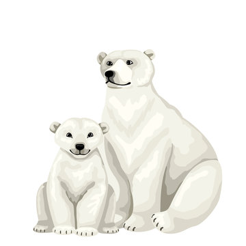 White bear with baby cub. Vector isolated characters on white background.