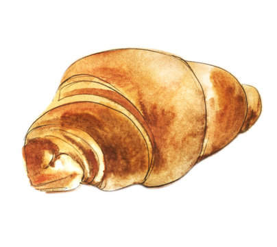 Fresh croissant. Morning baking. French bun curlicue bagel. Hand-drawn watercolor illustration with black contour line. Sketch drawing. Isolated on a white background