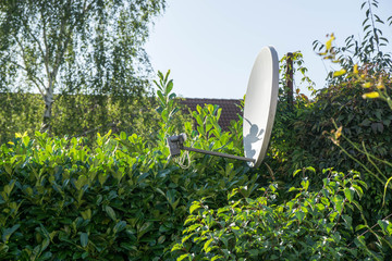 satellite dish in the garden, blue sky