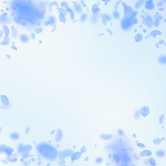 Dark blue flower petals falling down. Nice romanti