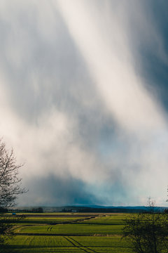 The shape storm leaves