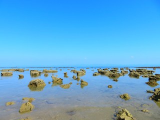 Landscape with ocean