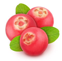 Freshly picked cowberries or blueberries with leaves isolated on white background. As design element.