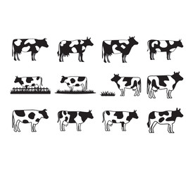 Cow collection set graphic design template vector