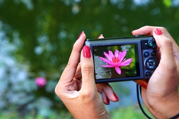 The earth laughs in flowers. 