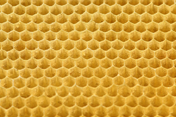 Background texture and pattern of a section of wax honeycomb