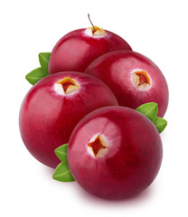 Heap of freshly picked cranberries with leaves isolated on white background. As design element.