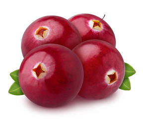 Heap of freshly picked cranberries with leaves isolated on white background. As design element.